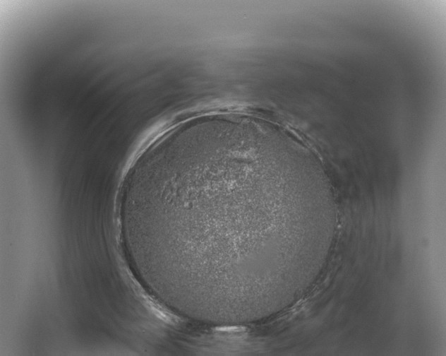 X0000062840053200601171456