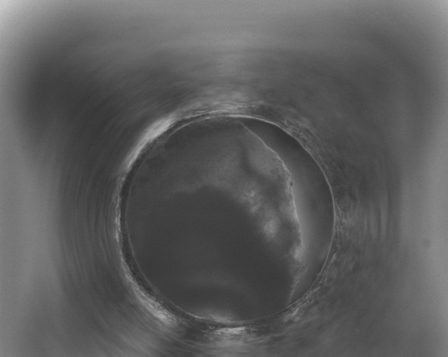 X0000062840054200601171456