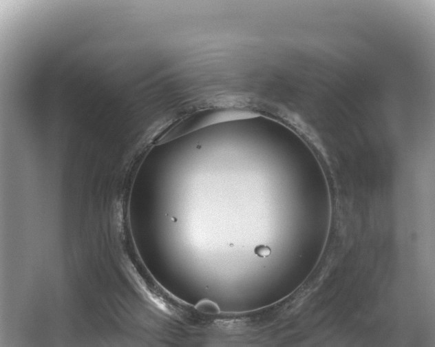 X0000062840057200601171456