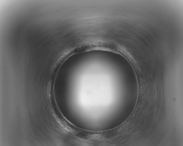 X0000062840058200601171456