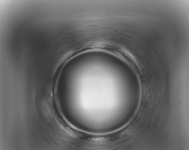 X0000062840059200601171456