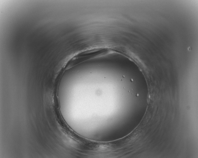 X0000062840060200601171456