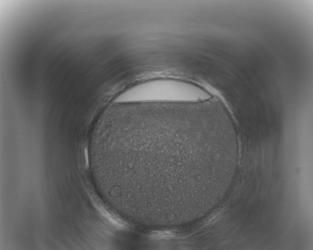 X0000062840061200601171456