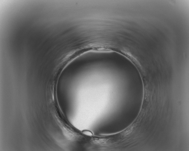 X0000062840062200601171456