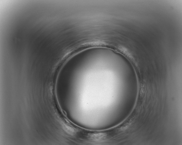 X0000062840063200601171456