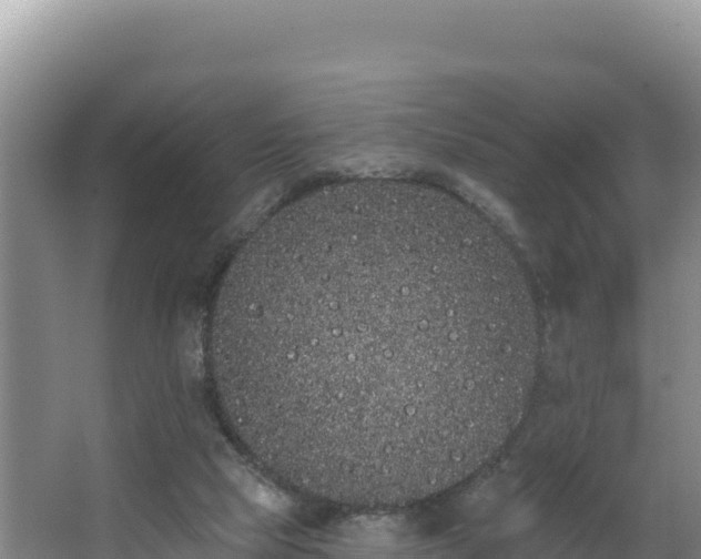 X0000062840065200601171456