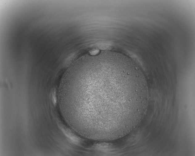 X0000062840069200601171456