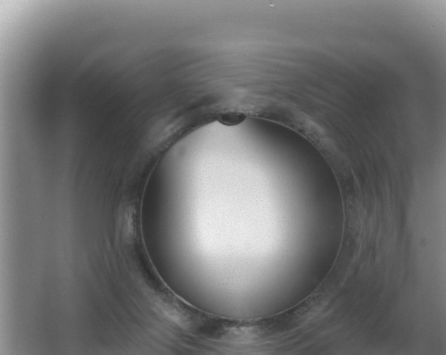 X0000062840071200601171456