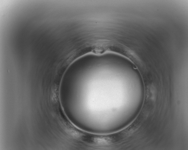 X0000062840073200601171456