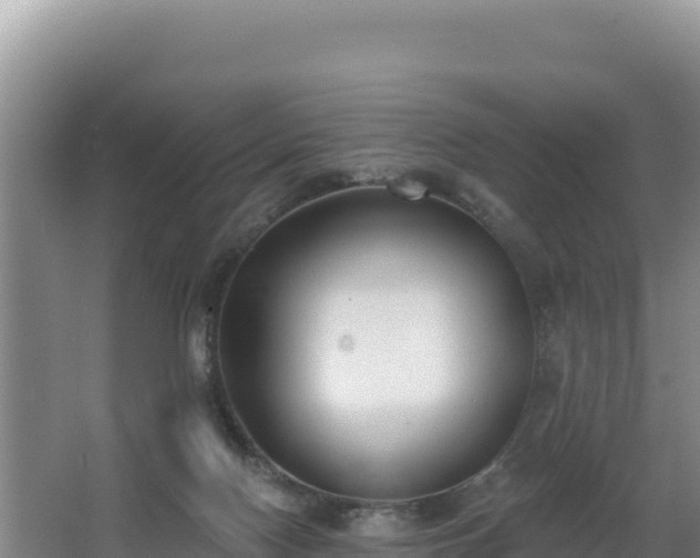 X0000062840074200601171456