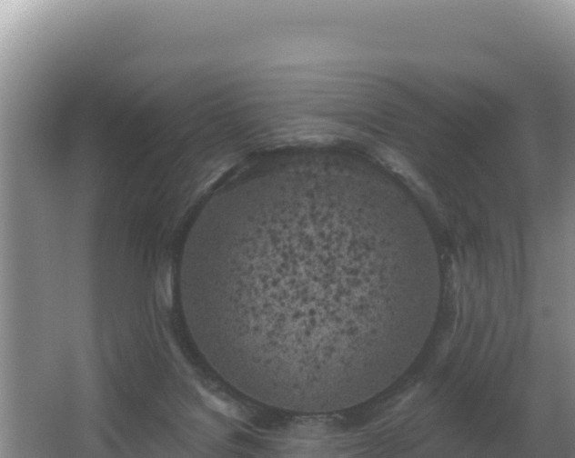 X0000062840076200601171456