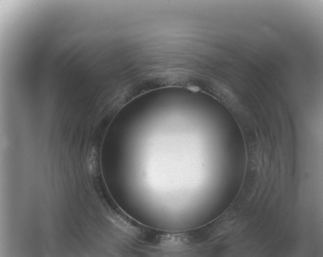 X0000062840077200601171456