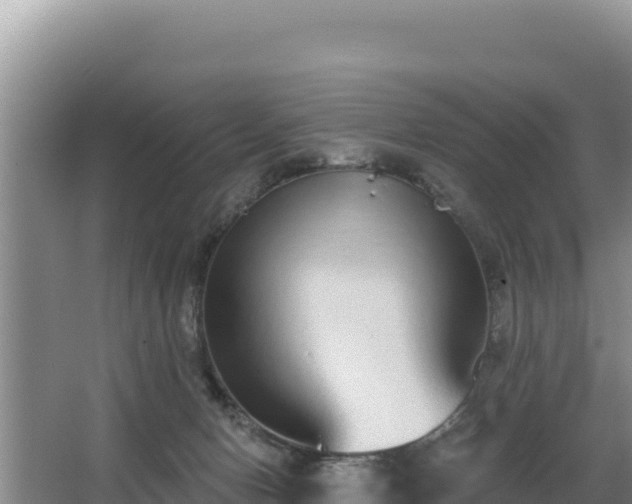 X0000062840078200601171456