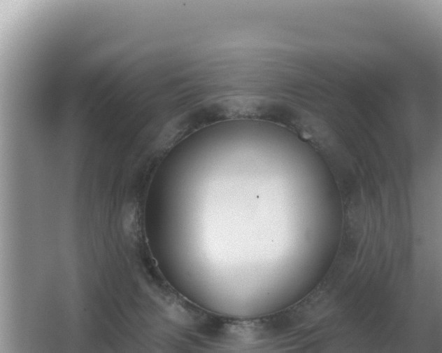 X0000062840079200601171456