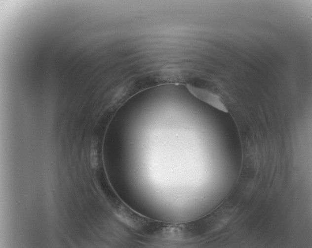 X0000062840080200601171456