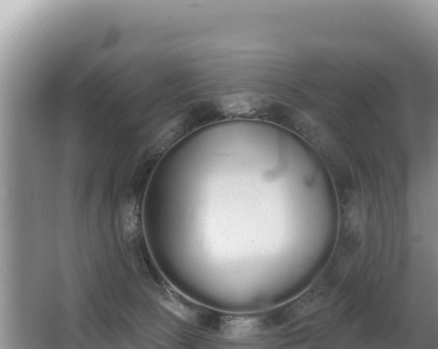 X0000062840081200601171456