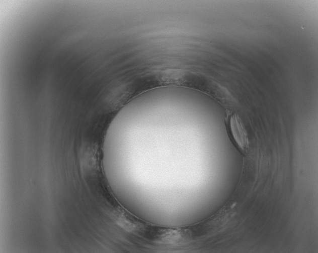 X0000062840083200601171456