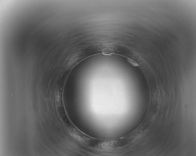 X0000062840084200601171456