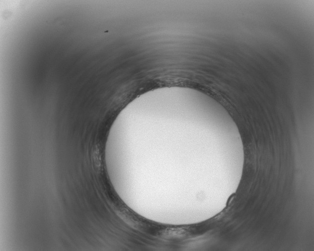 X0000062840086200601171456