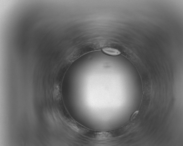 X0000062840087200601171456