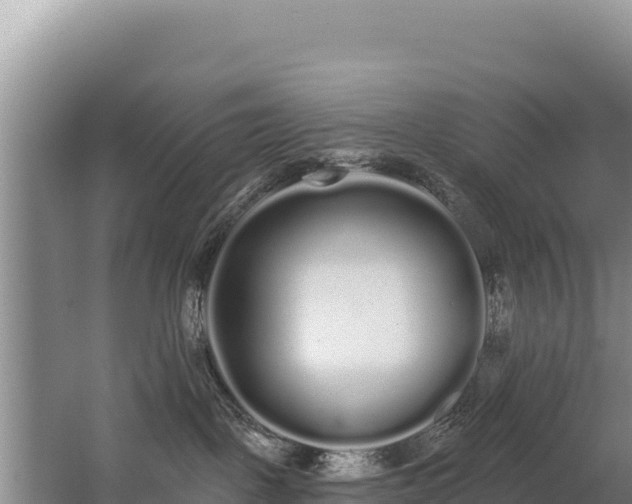 X0000062840093200601171456