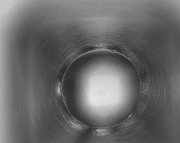 X0000062840095200601171456