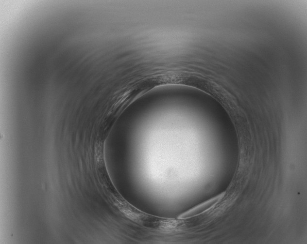 X0000062840096200601171456