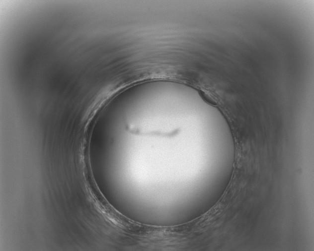 X0000062840098200601171456