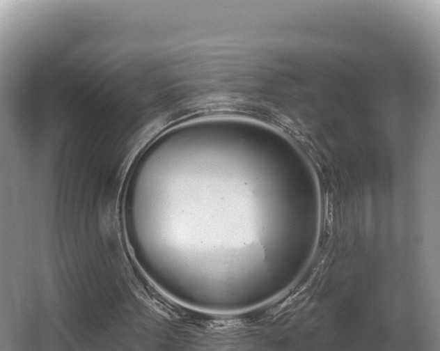 X0000062840099200601171456