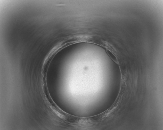 X0000062840101200601171455