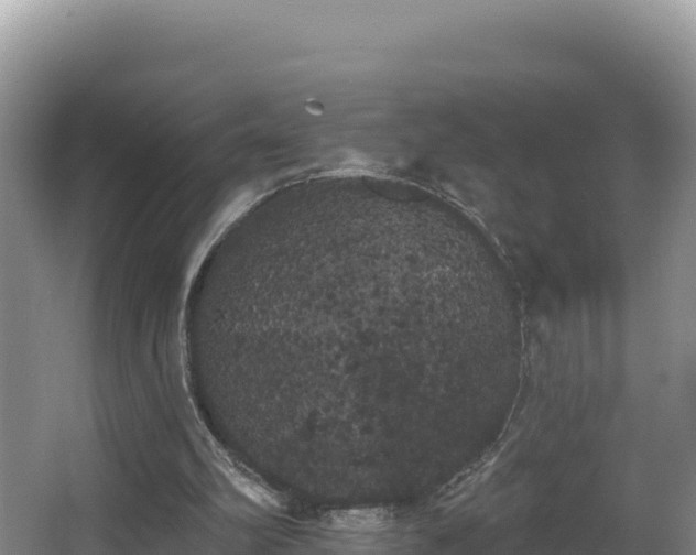 X0000062840102200601171455