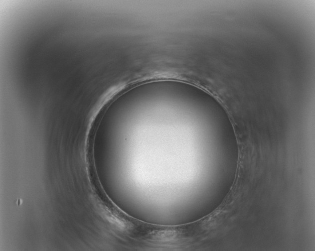 X0000062840104200601171455