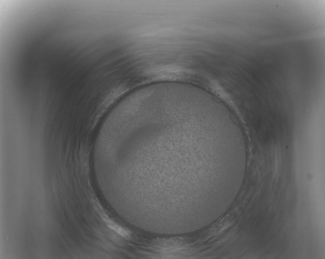 X0000062840106200601171455