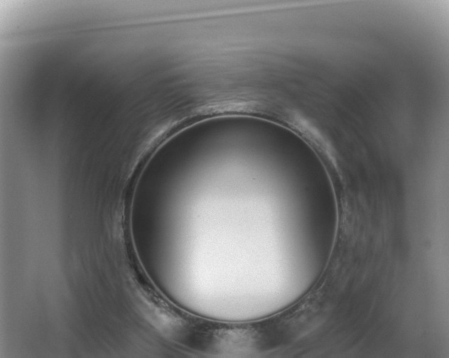 X0000062840107200601171455