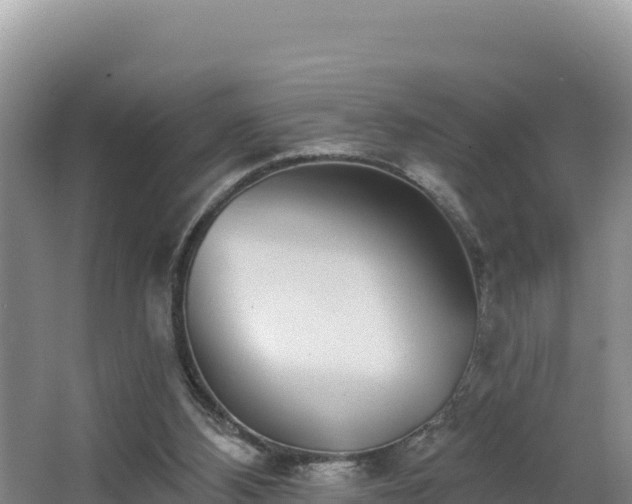 X0000062840108200601171455