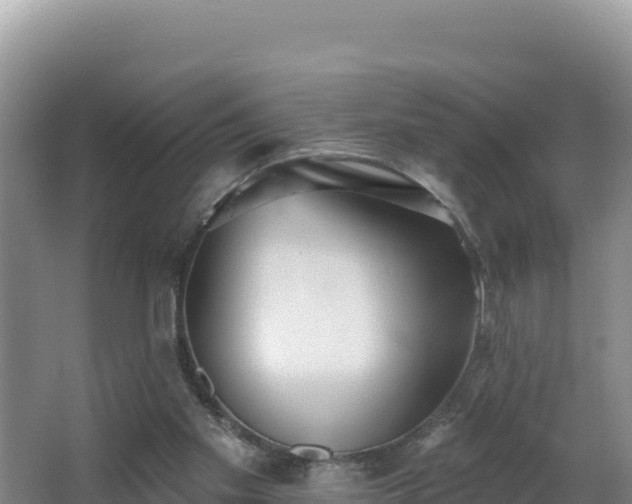 X0000062840109200601171455