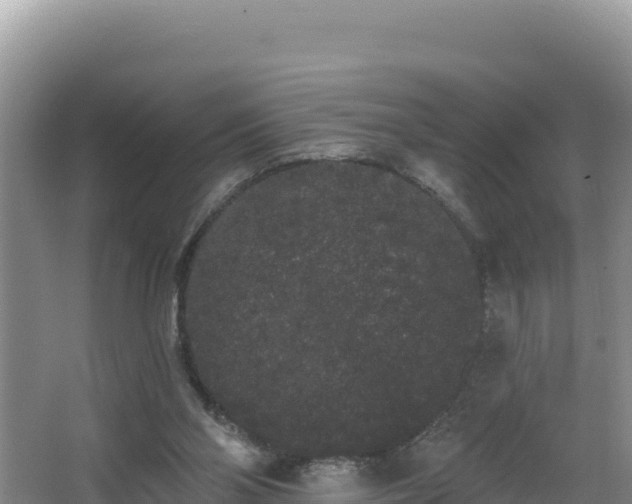 X0000062840110200601171455