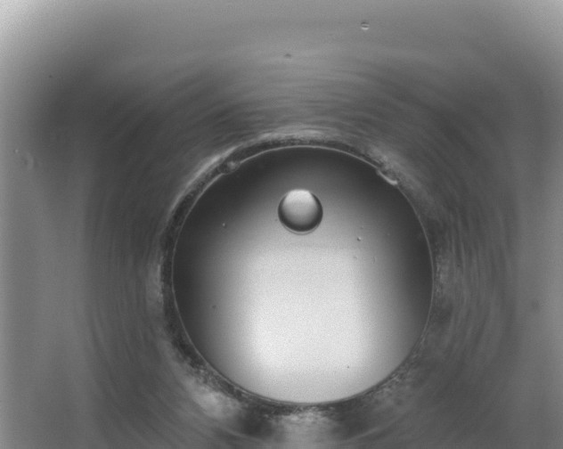 X0000062840112200601171455