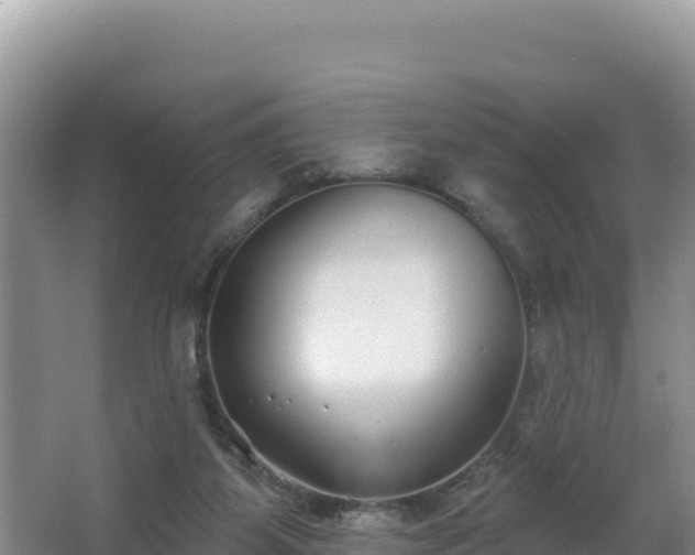 X0000062840115200601171455