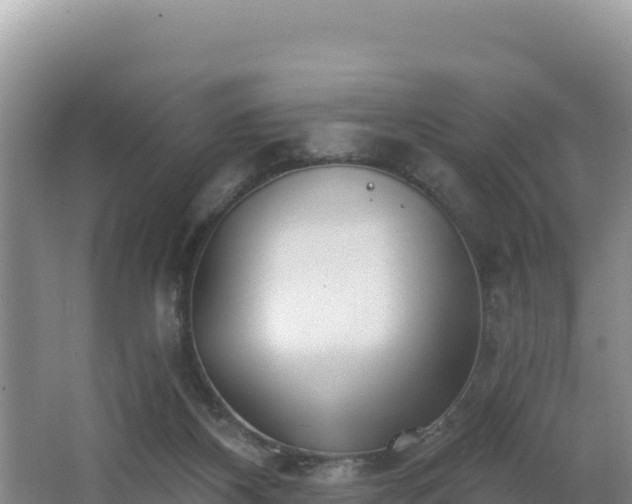 X0000062840116200601171455