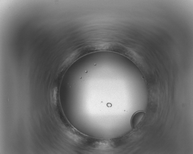 X0000062840118200601171455