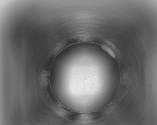 X0000062840121200601171455