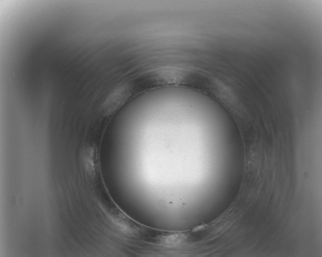 X0000062840122200601171455