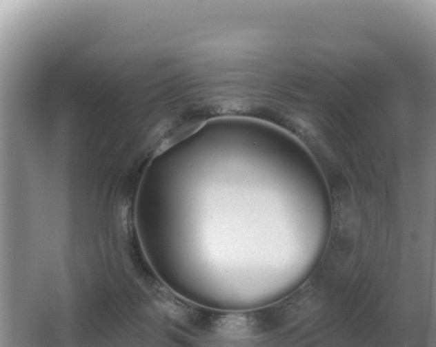 X0000062840123200601171455