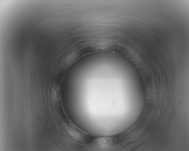 X0000062840126200601171455