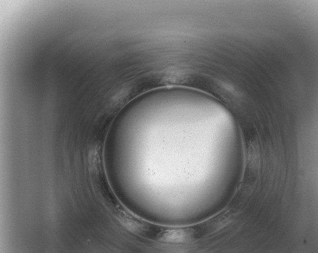 X0000062840127200601171455