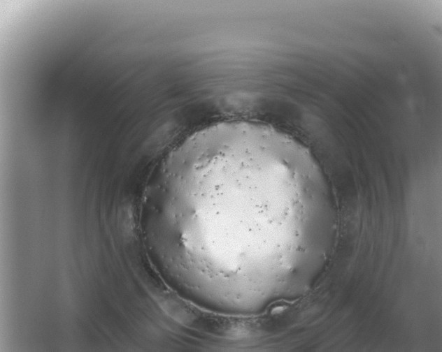 X0000062840130200601171455