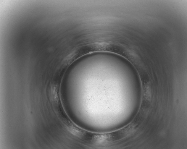 X0000062840131200601171455