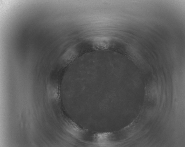 X0000062840134200601171455