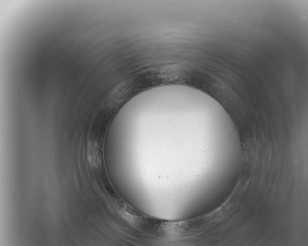 X0000062840136200601171455